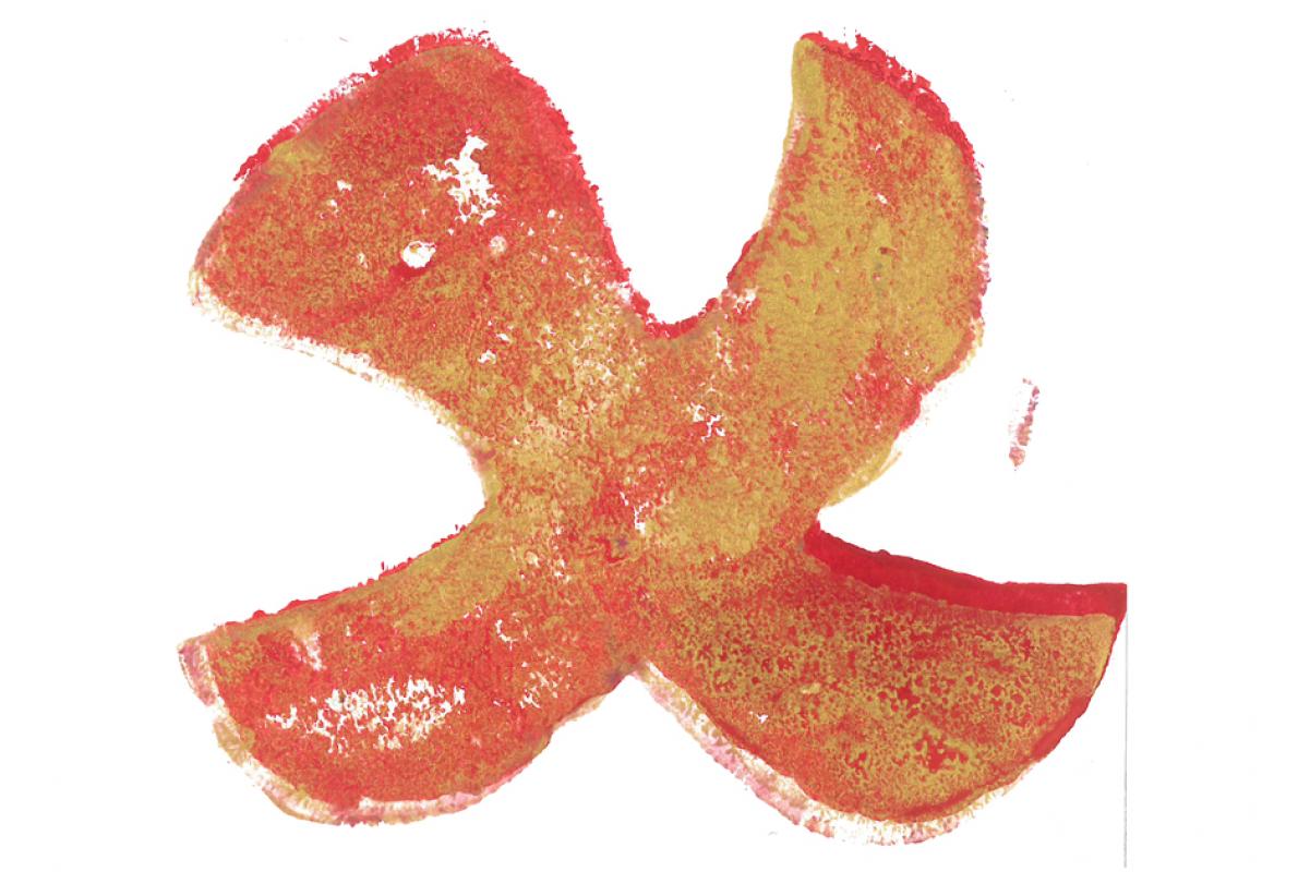 Taizé-Taube 8, Titelblatt Liederbuch Ökumenischer Gebetskreis Bonn, Albrecht K. Scherer
