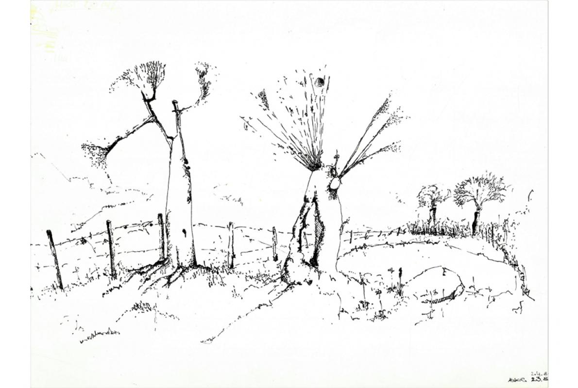 Weidelandschaft in Burgund, Federzeichnung auf Papier, 32 x 23 cm, Juli 2001 - Albrecht K. Scherer